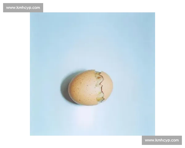 日常微光：触摸生活的温度