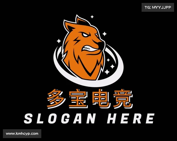 了解&#x591a;&#x5b9d;&#x7535;&#x7ade;